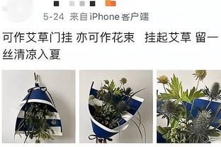 独行侠总经理：PJ-华盛顿很全面 加福德护筐能力不错